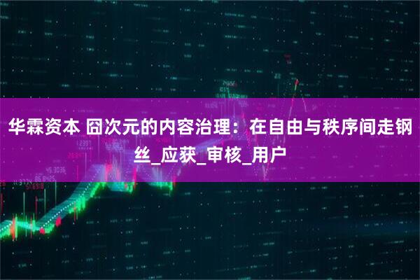 华霖资本 囧次元的内容治理：在自由与秩序间走钢丝_应获_审核_用户