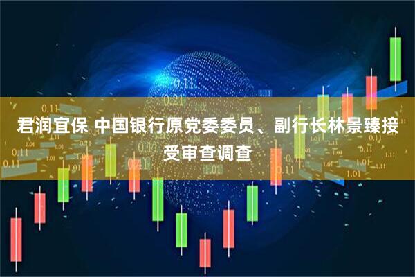 君润宜保 中国银行原党委委员、副行长林景臻接受审查调查