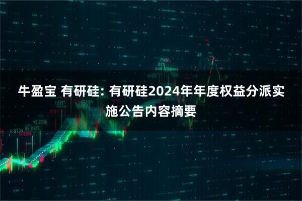 牛盈宝 有研硅: 有研硅2024年年度权益分派实施公告内容摘要