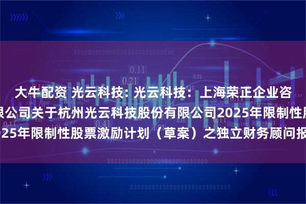 大牛配资 光云科技: 光云科技：上海荣正企业咨询服务（集团）股份有限公司关于杭州光云科技股份有限公司2025年限制性股票激励计划（草案）之独立财务顾问报告内容摘要